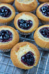 A blueberry muffin