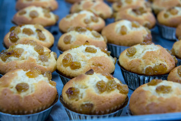  delicious muffin in cup for breakfast