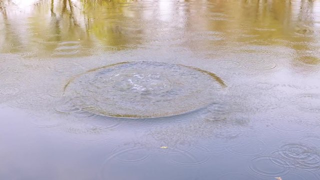 Water surface background with  trees reflections. A pebble falls into water, splash and squirt, the circles from the stone on the water, ripples on the water surface, 4k movie, slow motion.