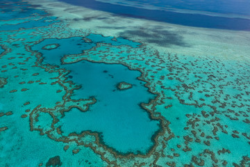 Luftaufnahme beim Helikopter-Rundflug über das Great Barrier Reef © jeho.photography