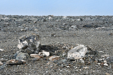 Head-shaped stone on the shore of the sacred lake Rakshas Tal (Langa-TSO)