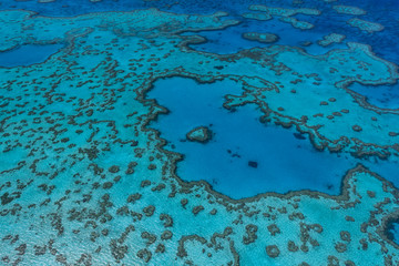 Luftaufnahme beim Helikopter-Rundflug über das Great Barrier Reef © jeho.photography
