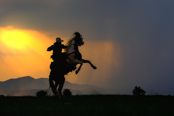 Fototapeta na wymiar Cowboy silhouette on a horse during nice sunset