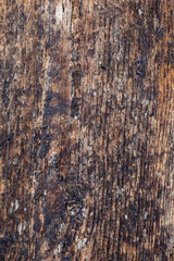 The old surface of wood damaged by bad weather. Spots and smudges of paint. Ready photo background. Macro.
