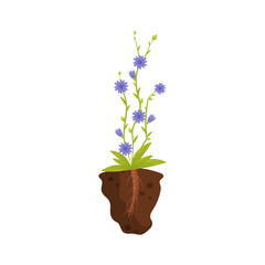 Blue flowers on a thin stalk. Vector illustration.
