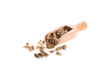 Green Cardamom on white background