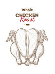Whole chicken vector illustration