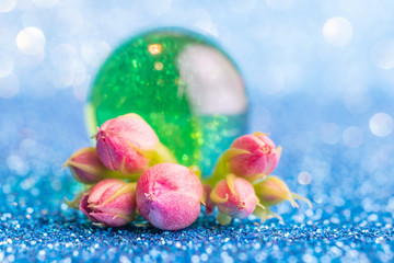 Small pink buds in the form of a bouquet on a silver-blue background with a beautiful bokeh. Very bright photo in warm colors. Copy space.