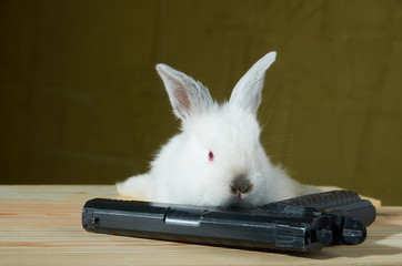 White rabbit with gun