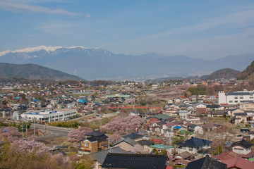 Fototapeta na wymiar 高遠城址公園高台から見る春の伊那市