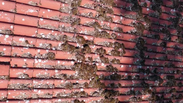  Inspection of the roof by hoovering and tilting a drone at a single-family house to check the condition of the roof tiles, aerial view, close-up, detail view from short distance