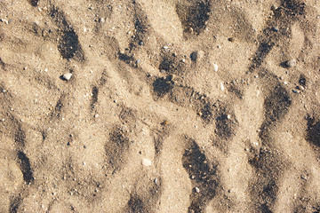 Beach sand and sandy trails in the summer sun.