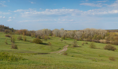 Fototapeta na wymiar Spring panorama with green hills