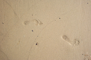 Fototapeta na wymiar Top view of seashore, clean sand texture of natural surface.