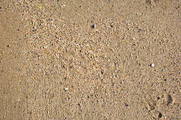 Top view of seashore, clean sand texture of natural surface.