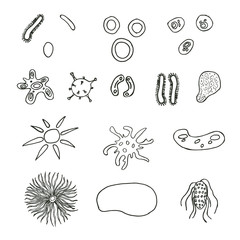 A set of bacteria and viruses.