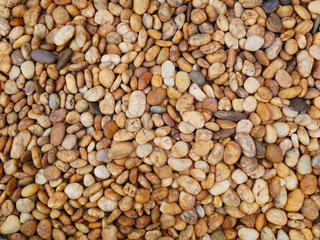 stone background,pebbles beach