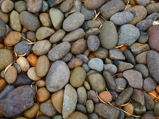 beauty pebbles on the beach stone background