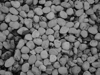 white pebbles stone background 