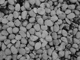white pebbles beach stone background