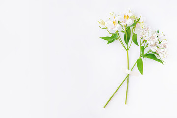 Two white alstroemeria flower branches taped on white background