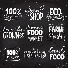 Fototapeta premium Set of vegetarian labels with hand drawn lettering on chalk board. 