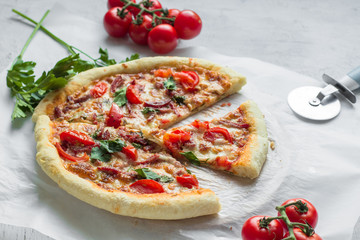 Pizza with mozzarella, tomatoes and meat