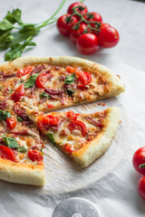 Pizza with mozzarella, tomatoes and meat