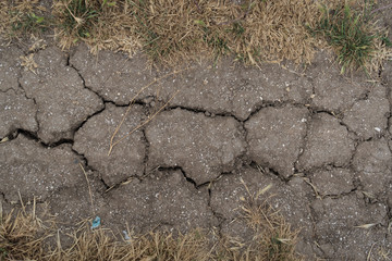 Cracked ground with dry grass. Natural background