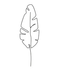 One line drawing. Contour drawing of Banana leaf.