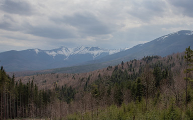 Obraz premium Rest in the Carpathians, Hiking in the mountains Gorgany