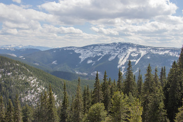 Rest in the Carpathians, Hiking in the mountains Gorgany