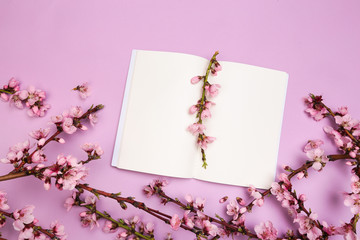 mock up notebook and sprigs of the apricot tree with flowers on pastel colour background. he concept of spring came, happy easter, mother's day.Top view.Flay lay.