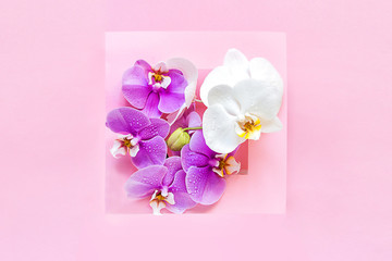 Obraz na płótnie Canvas Creative flat lay top view of green leaves and orchid flowers. Frame frompink flowers on punch pink background. Valentines day, woman day Minimal summer festive template your text,invitation cards.