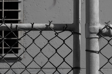 Barbed wire on fence