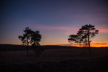 Landschaft im Sommer