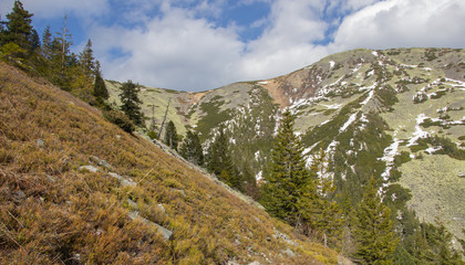 Rest in the Carpathians, Hiking in the mountains Gorgany