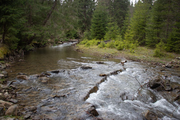 Rest in the Carpathians, Hiking in the mountains Gorgany