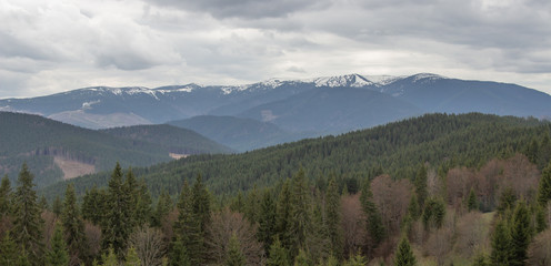 Fototapeta na wymiar Rest in the Carpathians, Hiking in the mountains Gorgany