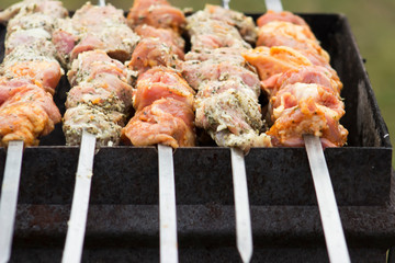 Freshly marinated shashlik prepared for roasting on charcoal. The traditional dish is made outdoors