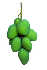 Green mango with white background with clipping path