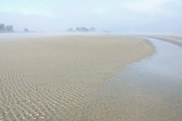 Sand seashore in the fog, Pacific Rim National Park, British Columbia, Canada
