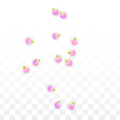Vector Realistic Pink Petals Falling on Transparent Background.  Spring Romantic Flowers Illustration. Flying Petals. Sakura Spa Design. Blossom Confetti.