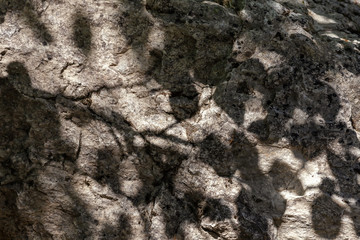 Natural mountain stone,texture,close-up.