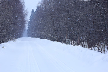 snow fog landscape snowfall / winter landscape cold seasonal weather, nature in winter form, foggy outside