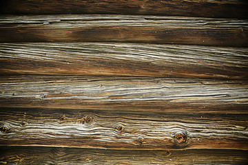 texture background old logs/abstract gray nature background;