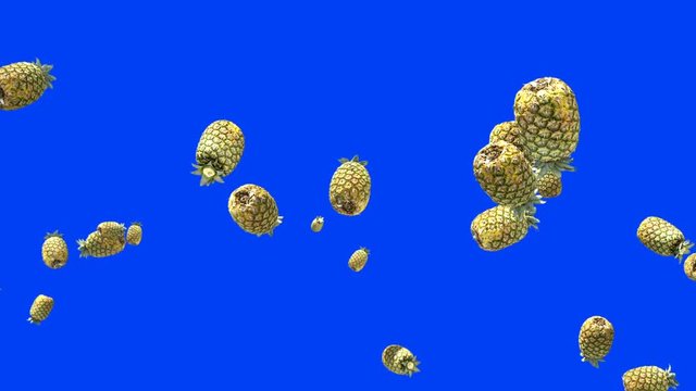 Pineapple flying in slow motion against Blue Screen