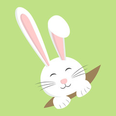 Easter rabbit, white bunny design vector cartoon