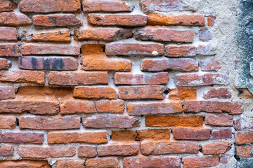 Obraz premium Old red brick wall texture and green leaf hanging down on it at the edge. Copy space background. 