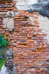 Old red brick wall texture and green leaf hanging down on it at the edge. Copy space background. 